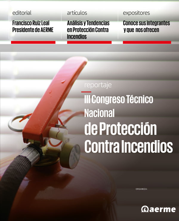 Flashpoint Número especial